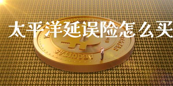 太平洋延误险怎么买_https://cj002.lansai.wang_保险问答_第1张