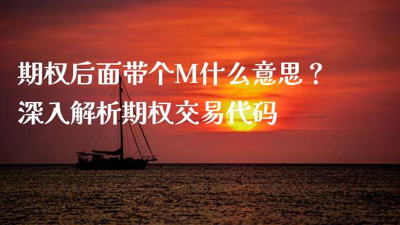 期权后面带个M什么意思？深入解析期权交易代码_https://cj002.lansai.wang_理财问答_第1张