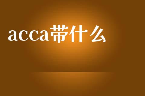 acca带什么_https://cj002.lansai.wang_会计问答_第1张