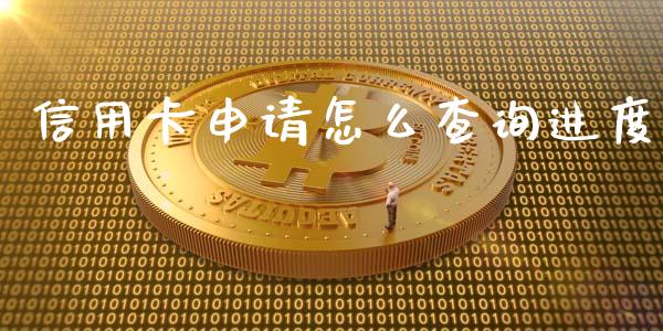 信用卡申请怎么查询进度_https://cj002.lansai.wang_金融问答_第1张