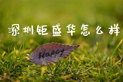深圳钜盛华怎么样_https://cj002.lansai.wang_财经问答_第1张