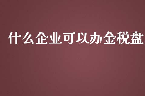 什么企业可以办金税盘_https://cj002.lansai.wang_会计问答_第1张