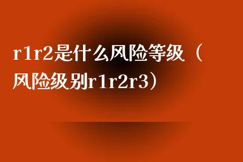 r1r2是什么风险等级（风险级别r1r2r3）_https://cj002.lansai.wang_期货问答_第1张