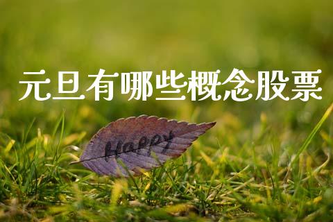 元旦有哪些概念股票_https://cj002.lansai.wang_金融问答_第1张