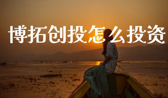 博拓创投怎么投资_https://cj002.lansai.wang_金融问答_第1张