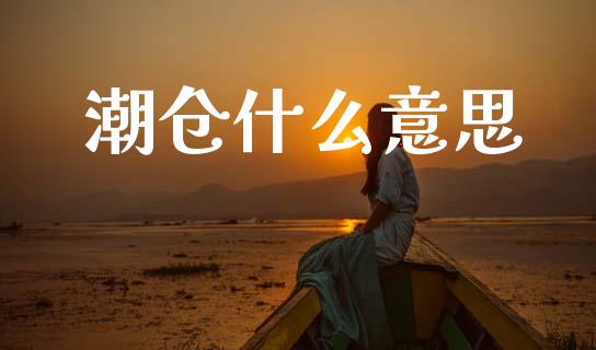 潮仓什么意思_https://cj002.lansai.wang_保险问答_第1张