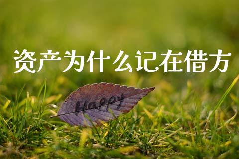 资产为什么记在借方_https://cj002.lansai.wang_会计问答_第1张