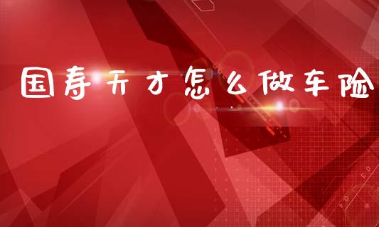 国寿天才怎么做车险_https://cj002.lansai.wang_保险问答_第1张