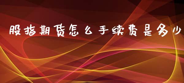 股指期货怎么手续费是多少_https://cj002.lansai.wang_期货问答_第1张