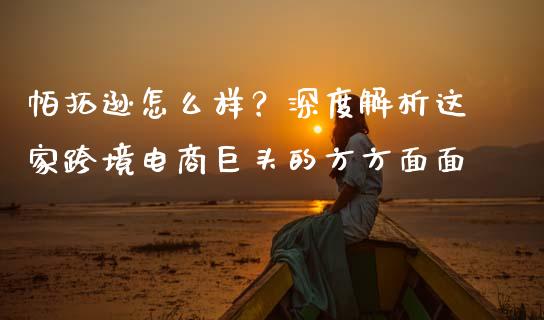 帕拓逊怎么样？深度解析这家跨境电商巨头的方方面面_https://cj002.lansai.wang_会计问答_第1张