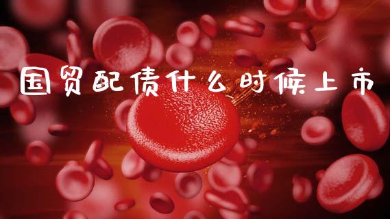 国贸配债什么时候上市_https://cj002.lansai.wang_财经问答_第1张