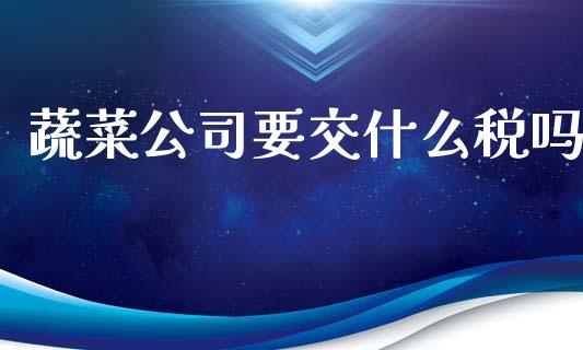 蔬菜公司要交什么税吗_https://cj002.lansai.wang_会计问答_第1张