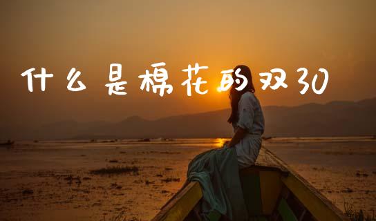 什么是棉花的双30_https://cj002.lansai.wang_金融问答_第1张