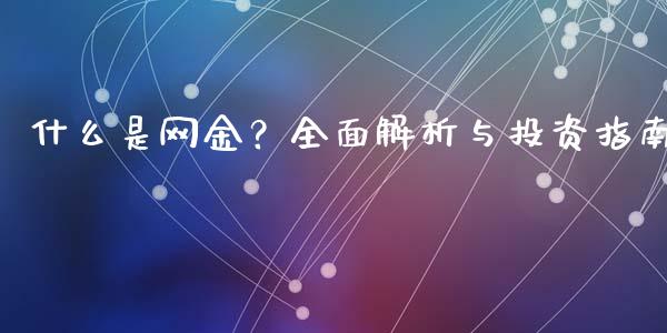 什么是网金？全面解析与投资指南_https://cj002.lansai.wang_理财问答_第1张