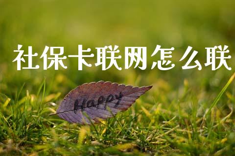 社保卡联网怎么联_https://cj002.lansai.wang_保险问答_第1张