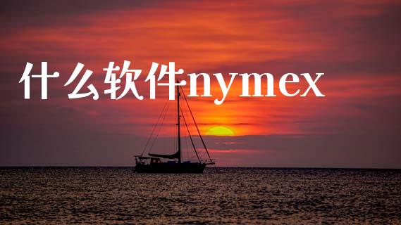 什么软件nymex_https://cj002.lansai.wang_保险问答_第1张