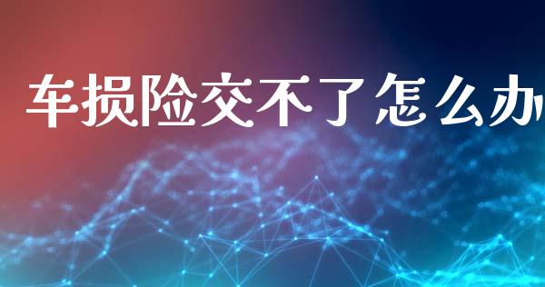 车损险交不了怎么办_https://cj002.lansai.wang_保险问答_第1张