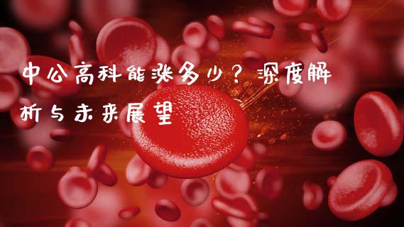 中公高科能涨多少？深度解析与未来展望_https://cj002.lansai.wang_期货问答_第1张