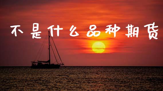 不是什么品种期货_https://cj002.lansai.wang_会计问答_第1张