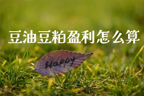 豆油豆粕盈利怎么算_https://cj002.lansai.wang_会计问答_第1张