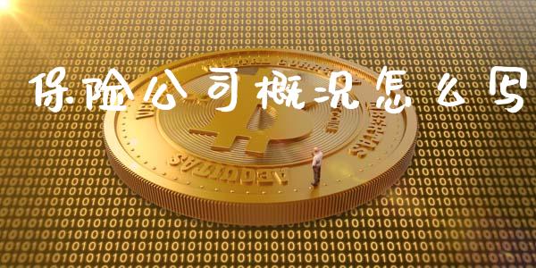 保险公司概况怎么写_https://cj002.lansai.wang_保险问答_第1张