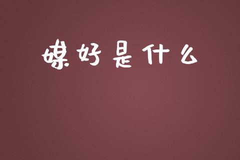媒好是什么_https://cj002.lansai.wang_股市问答_第1张