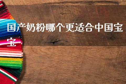 国产奶粉哪个更适合中国宝宝_https://cj002.lansai.wang_财经百问_第1张