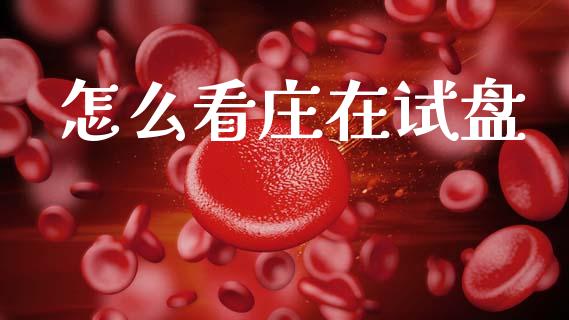 怎么看庄在试盘_https://cj002.lansai.wang_股市问答_第1张