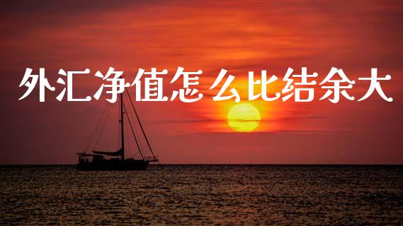 外汇净值怎么比结余大_https://cj002.lansai.wang_财经问答_第1张