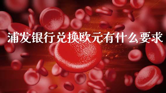 浦发银行兑换欧元有什么要求_https://cj002.lansai.wang_财经问答_第1张