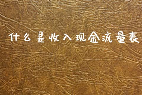 什么是收入现金流量表_https://cj002.lansai.wang_会计问答_第1张