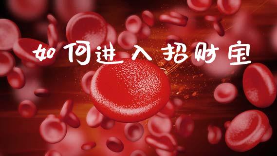 如何进入招财宝_https://cj002.lansai.wang_金融问答_第1张