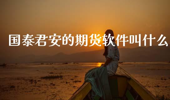 国泰君安的期货软件叫什么_https://cj002.lansai.wang_期货问答_第1张
