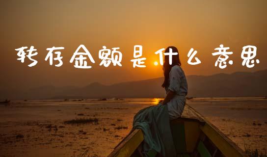 转存金额是什么意思_https://cj002.lansai.wang_股市问答_第1张