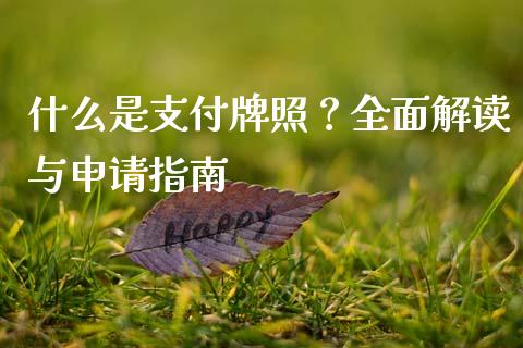 什么是支付牌照?全面解读与申请指南_期货问答_第1张_财经百问网 什么是支付牌照?全面解读与申请指南_https://cj002.lansai.wang_期货问答_第1张