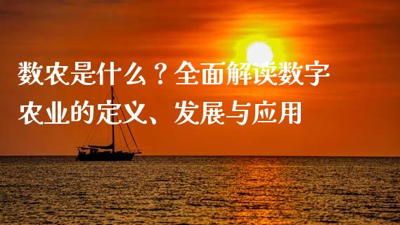 数农是什么？全面解读数字农业的定义、发展与应用_https://cj002.lansai.wang_财经百问_第1张