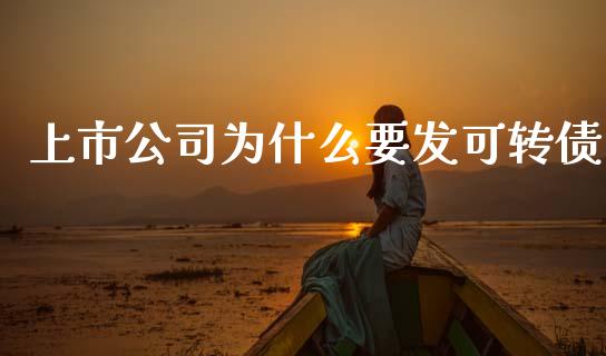 上市公司为什么要发可转债_https://cj002.lansai.wang_财经百问_第1张