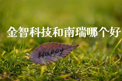 金智科技和南瑞哪个好_https://cj002.lansai.wang_金融问答_第1张