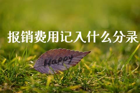报销费用记入什么分录_https://cj002.lansai.wang_会计问答_第1张