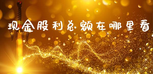 现金股利总额在哪里看_https://cj002.lansai.wang_金融问答_第1张