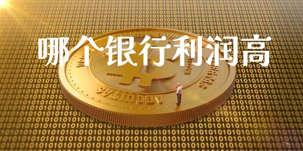 哪个银行利润高_https://cj002.lansai.wang_金融问答_第1张