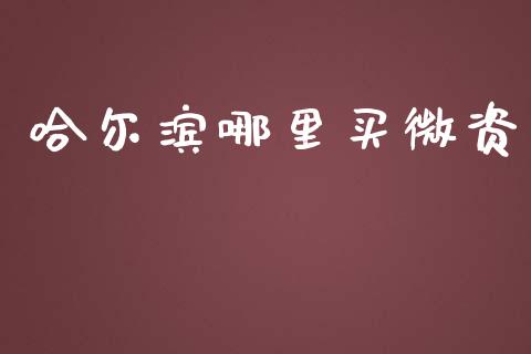 哈尔滨哪里买微资_https://cj002.lansai.wang_理财问答_第1张