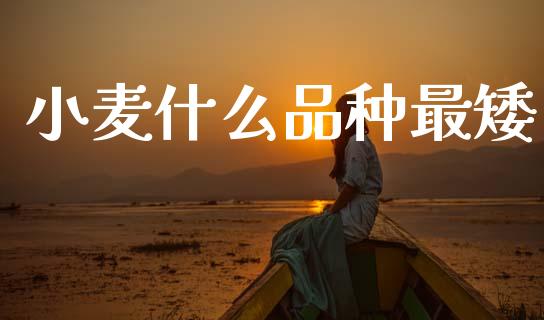 小麦什么品种最矮_理财问答_第1张_财经百问网 小麦什么品种最矮_https://cj002.lansai.wang_理财问答_第1张