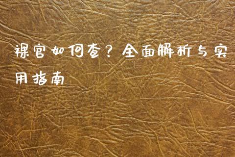 裸官如何查？全面解析与实用指南_https://cj002.lansai.wang_会计问答_第1张