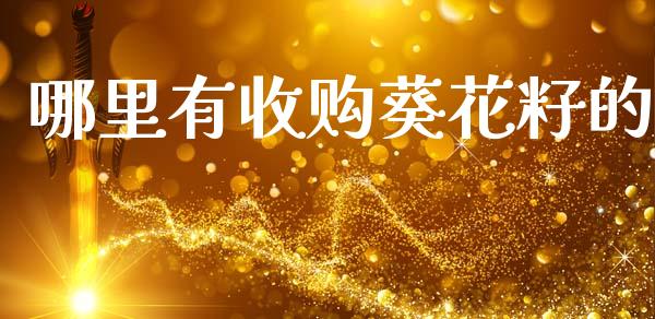哪里有收购葵花籽的_https://cj002.lansai.wang_股市问答_第1张