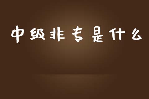 中级非专是什么_https://cj002.lansai.wang_会计问答_第1张