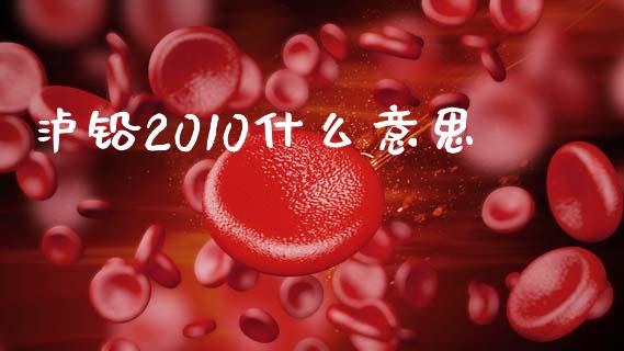 泸铅2010什么意思_https://cj002.lansai.wang_财经问答_第1张