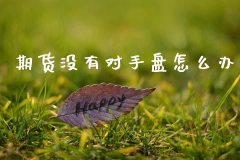 期货没有对手盘怎么办_https://cj002.lansai.wang_理财问答_第1张