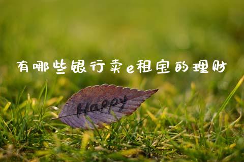 有哪些银行卖e租宝的理财_https://cj002.lansai.wang_理财问答_第1张