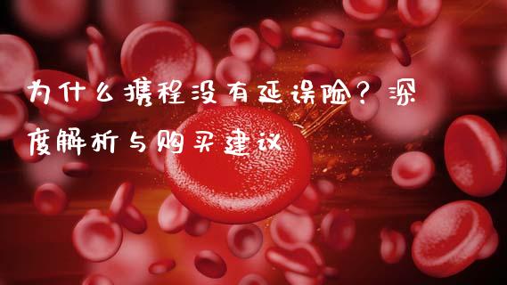 为什么携程没有延误险？深度解析与购买建议_https://cj002.lansai.wang_会计问答_第1张